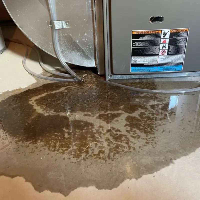 Pipe Burst and Leak Restoration in Lauderdale County, MS